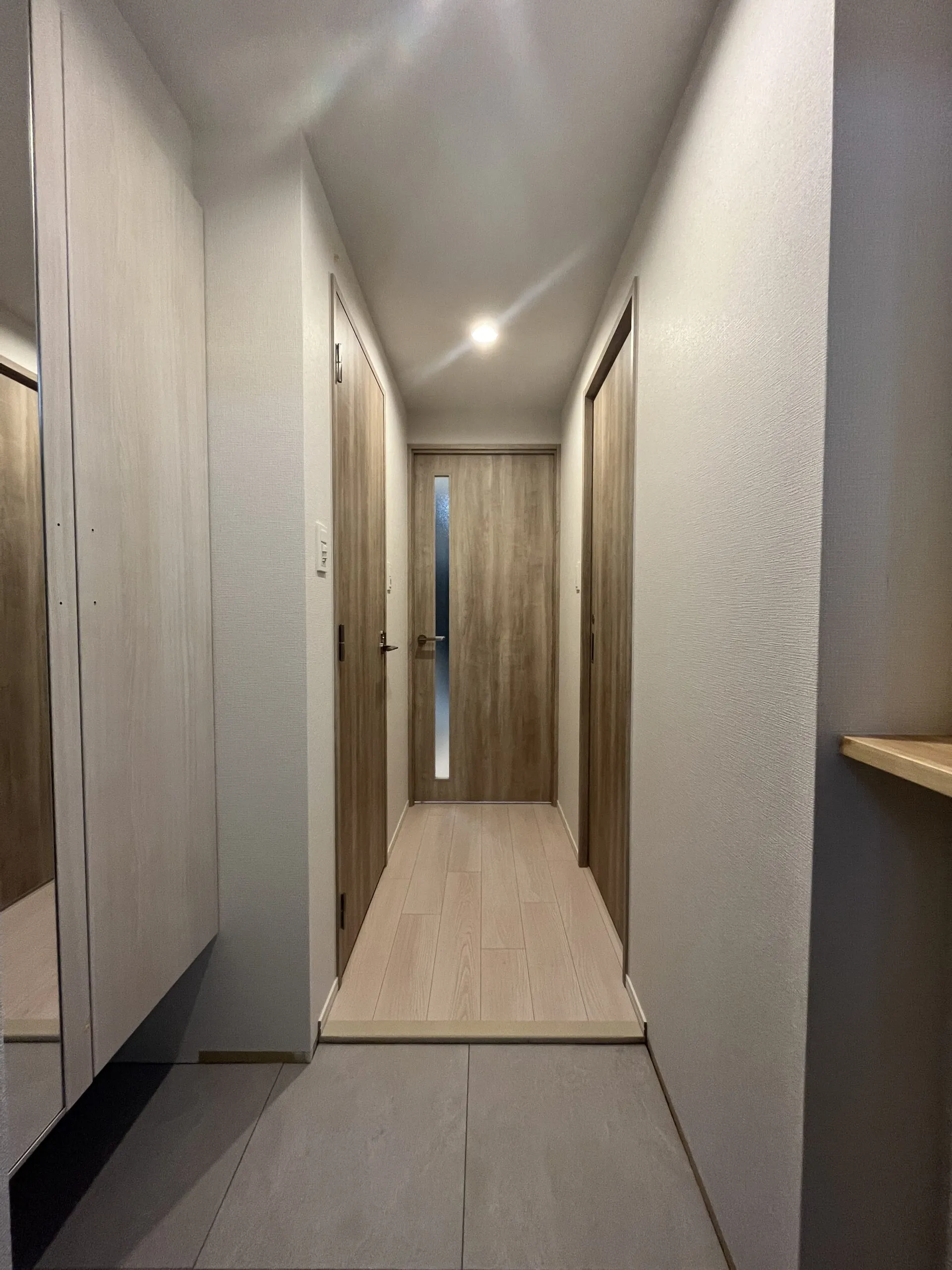 スプランディッド中百舌鳥：Bタイプ：廊下