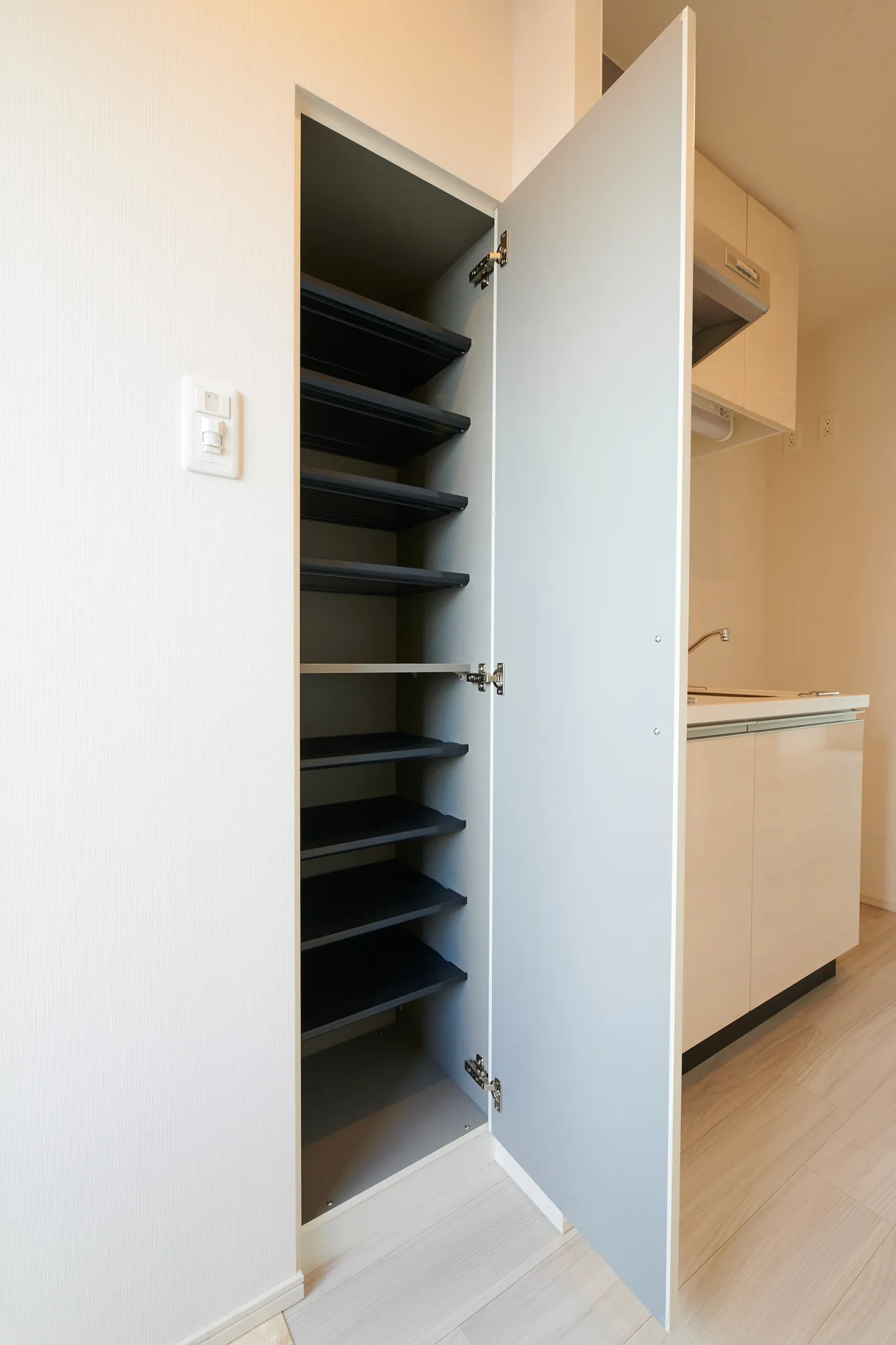 スプランディッド十三本町：シューズクローゼット