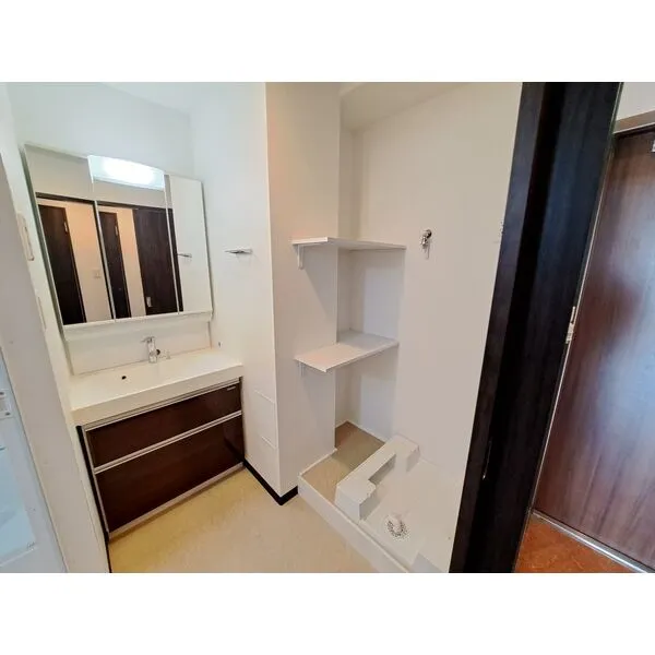 グランカーサ新大阪SOUTH：洗面所