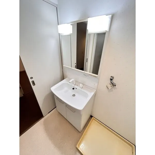 パインフィールド吉祥院：洗面所