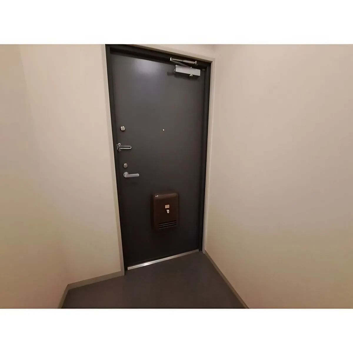 パインフィールド吉祥院：玄関