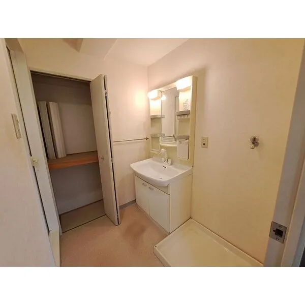 パインフィールド吉祥院：洗面所