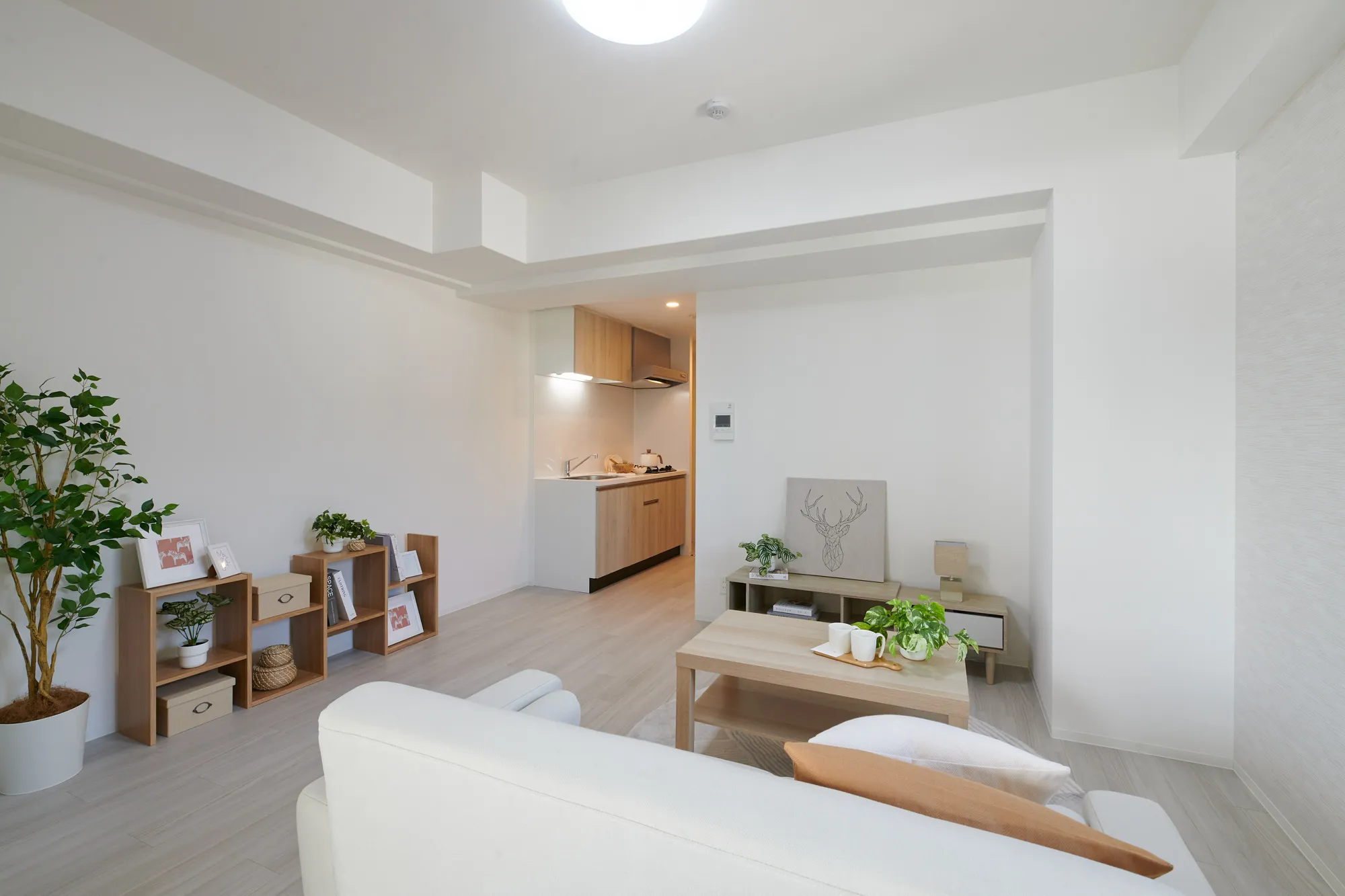 LA GRACE FUKUSHIMAⅡ：1号室タイプリビング