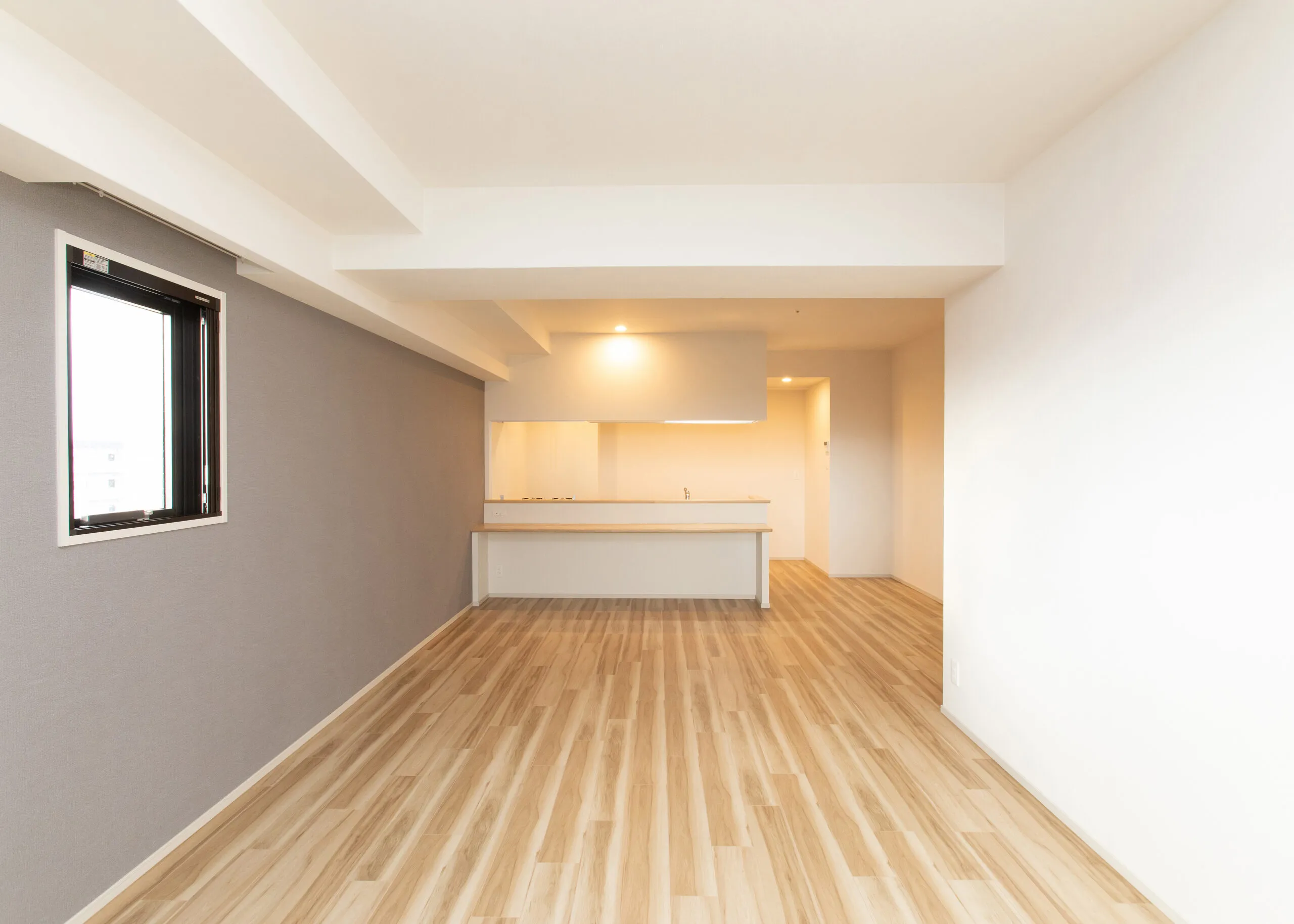 Splendide NAMBAIII：Mタイプ：LD