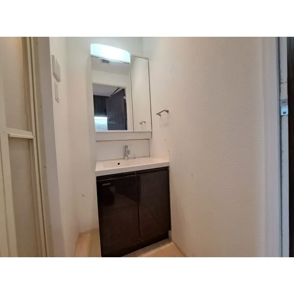 スプランディッド放出：洗面所