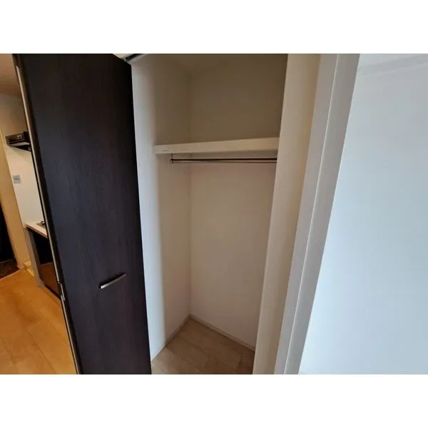 スプランディッド放出：収納