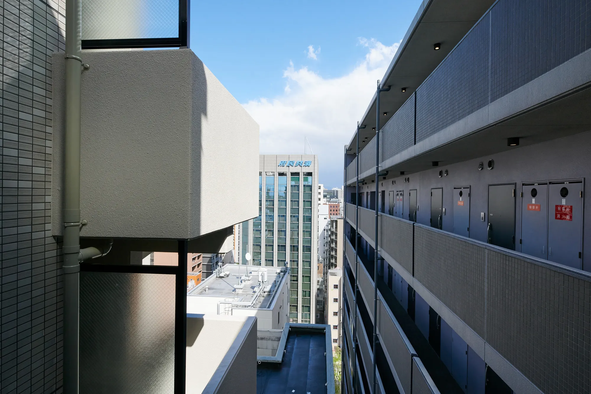 スプランディッド堀江：眺望