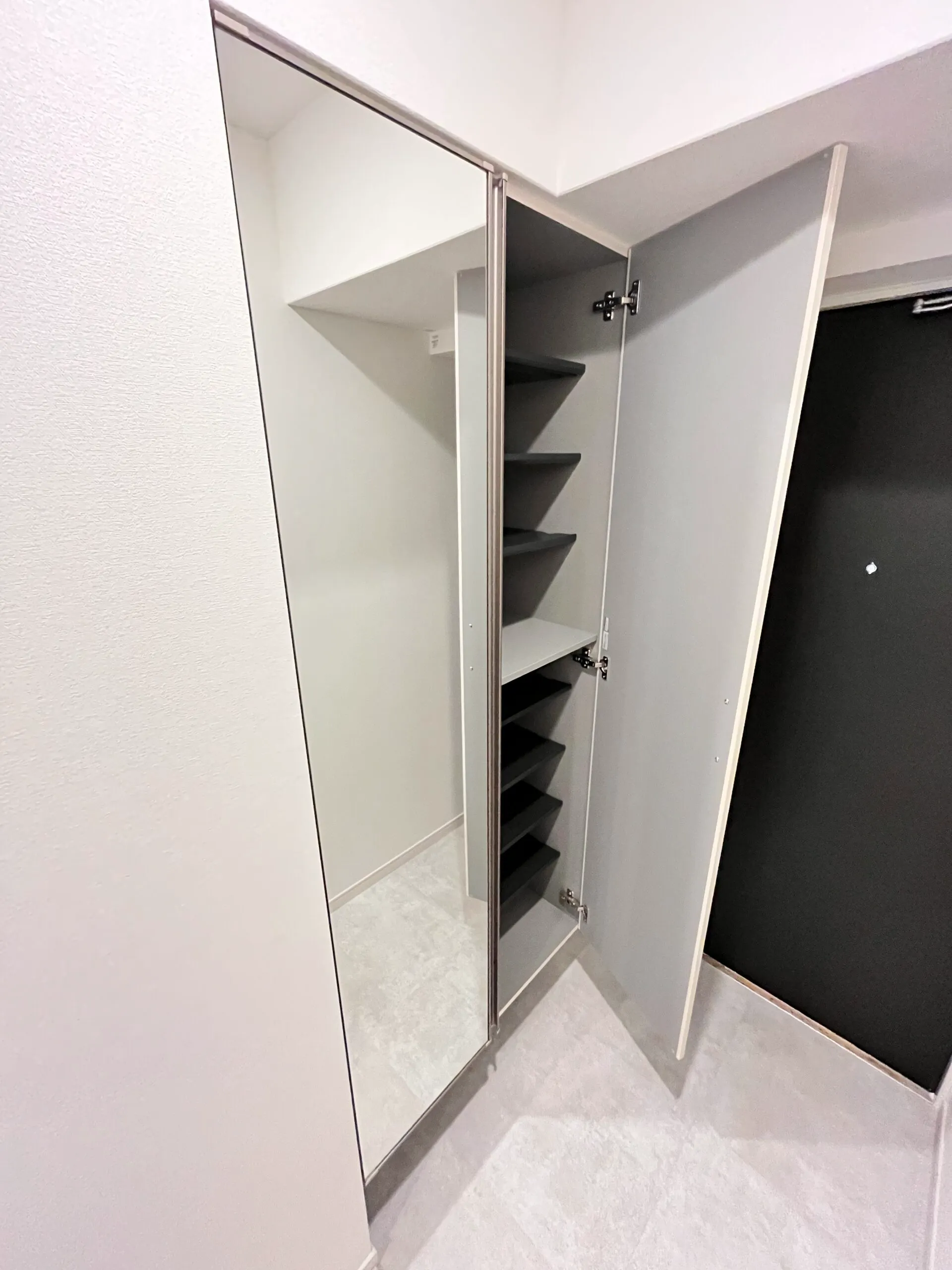 スプランディッド難波WESTⅡ：Brタイプ：玄関・靴箱