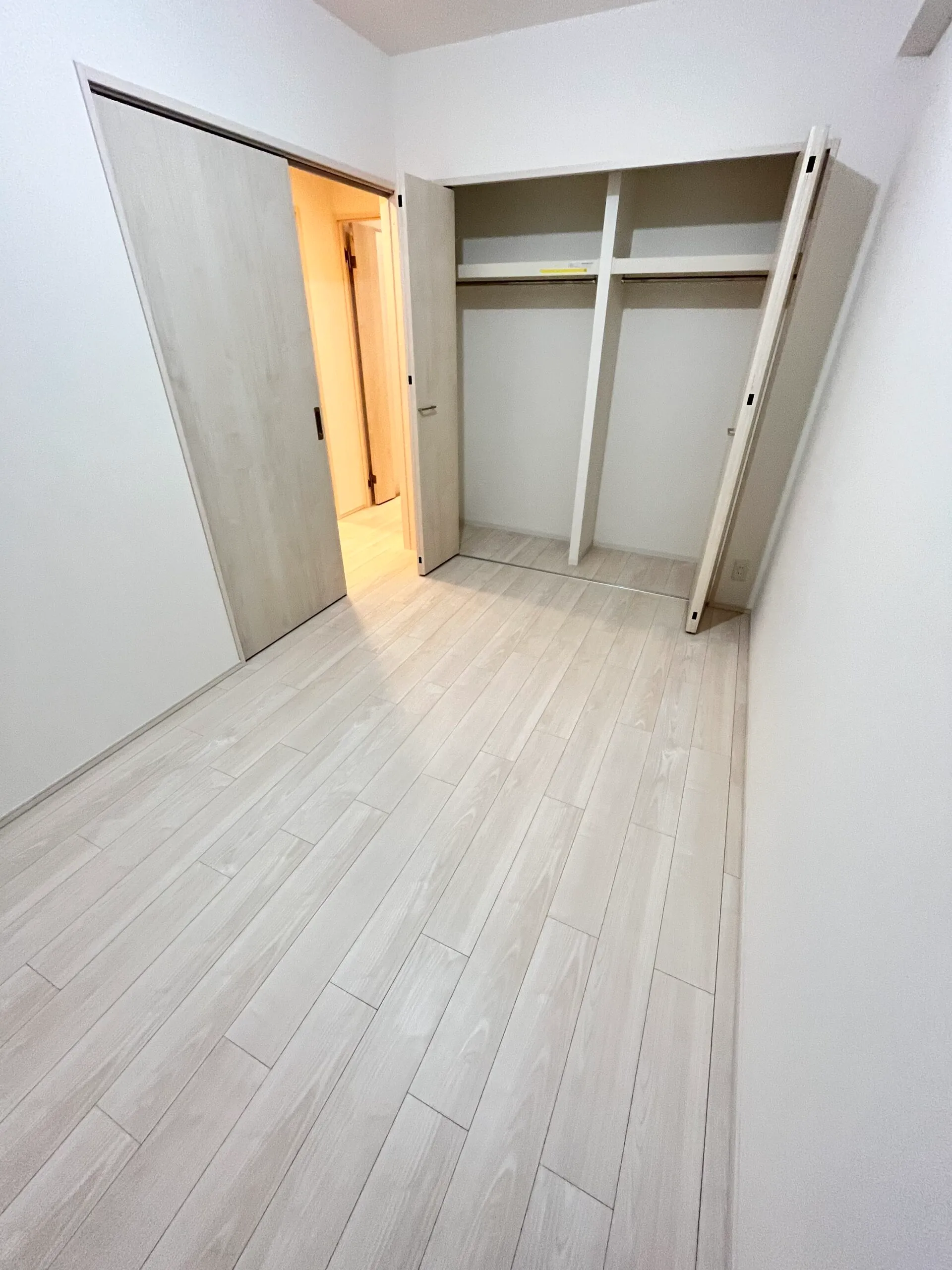 スプランディッド難波WESTⅡ：Cタイプ：クローゼット