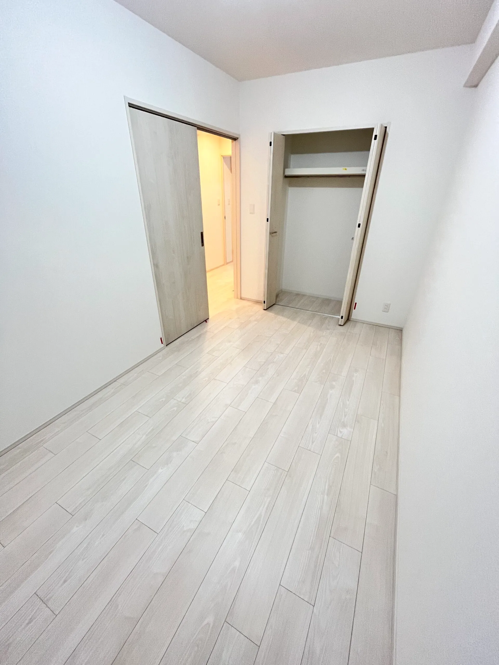 スプランディッド難波WESTⅡ：Bタイプ：洋室・クローゼット