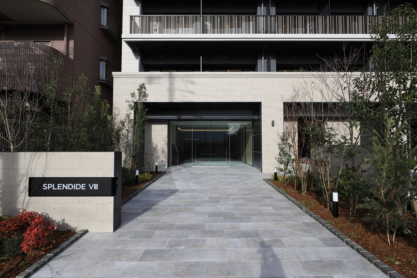 スプランディッドⅧ