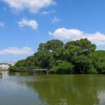 堺市で暮らすならどこ?魅力・家賃相場・おすすめエリアを徹底解説!